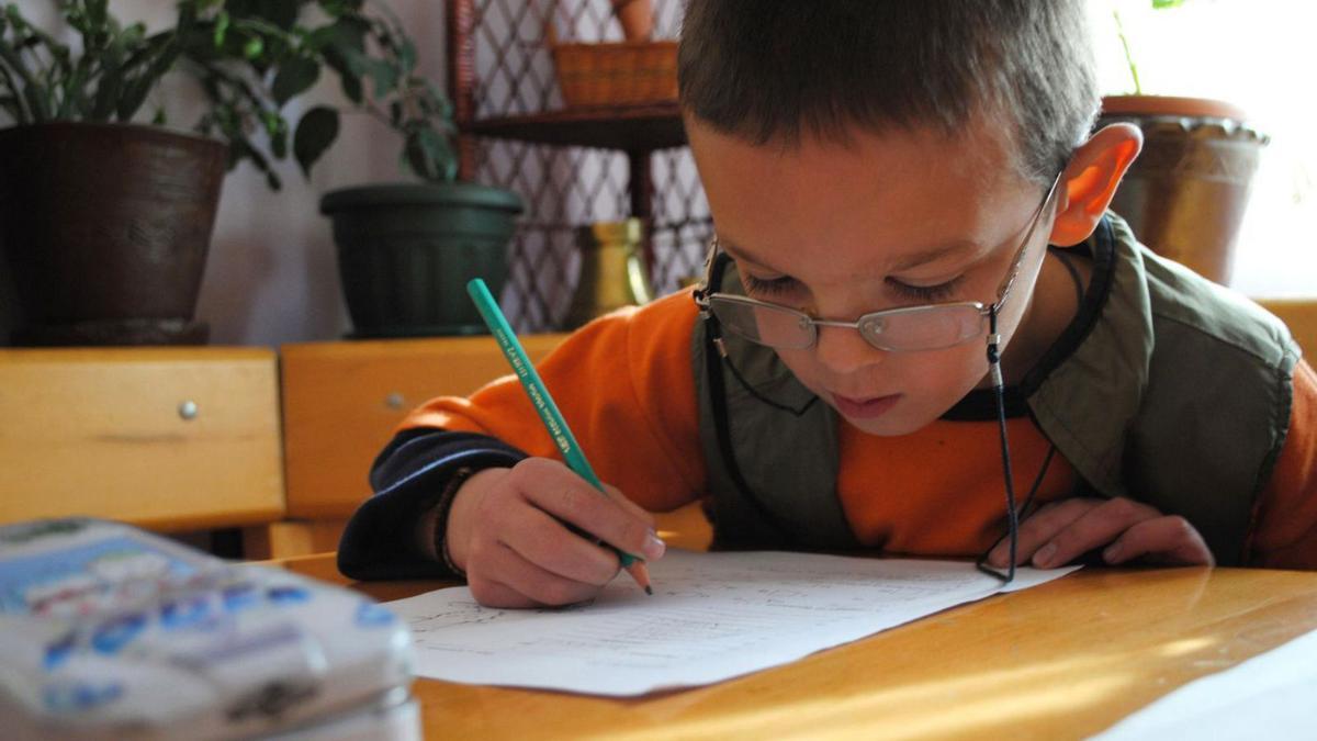 Les taxes d’abandó i fracàs escolar són superiors en l’alumnat amb rendes baixes. | ALDEES INFANTILS