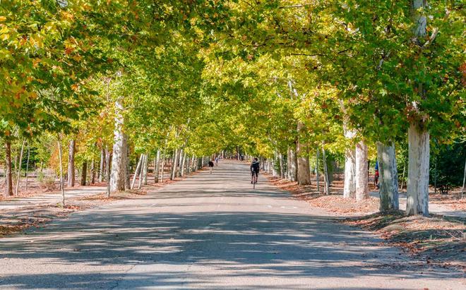 Casa de Campo, Madrid