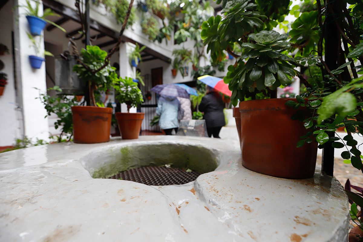 Los restos de la calima en los patios