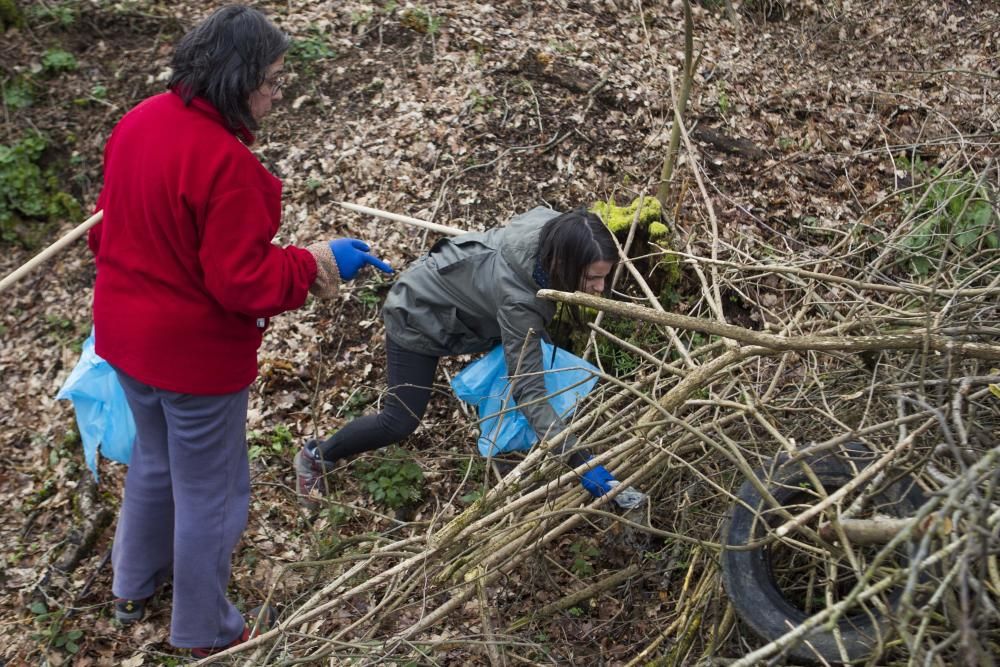 Basura Pontiñas