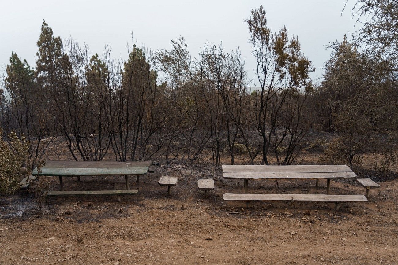 Así ha quedado el monte de Tenerife por el incendio