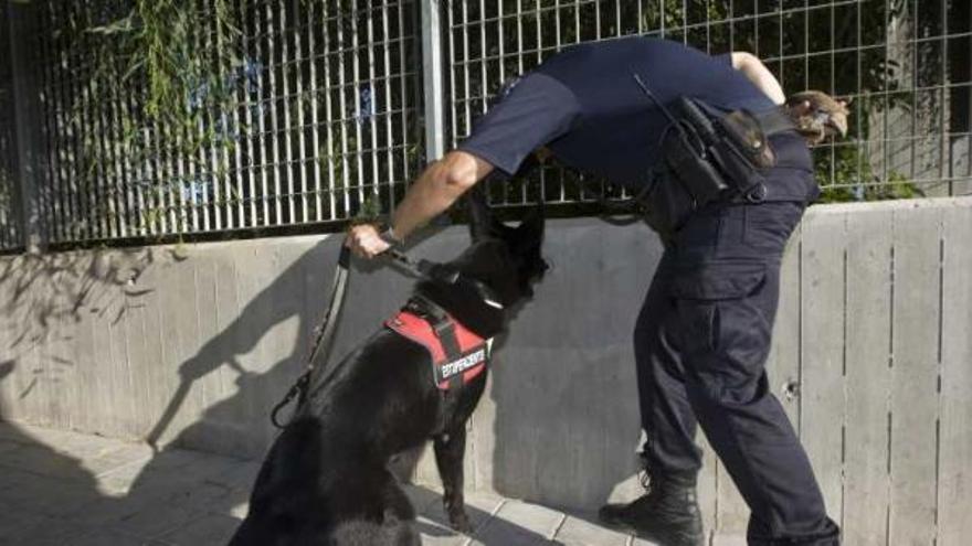 En busca de droga en el aula