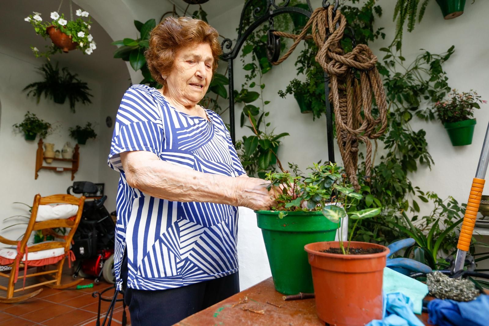 Los patios brotan en Córdoba