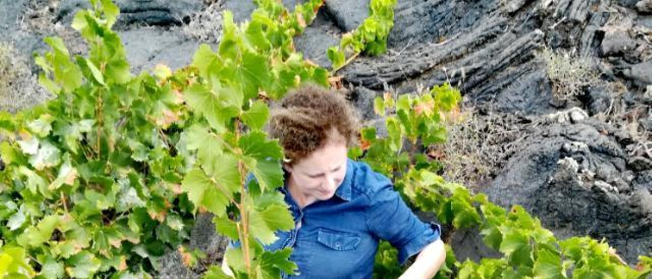 Ascensión Robayna, integrante de la Sociedad Agraria de Transformación (SAT) El Jable, de Lanzarote, comprueba la calidad de sus uvas.