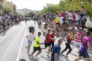 El cuarto encierro de las Fiestas de Calasparra se salda con un herido por asta de toro