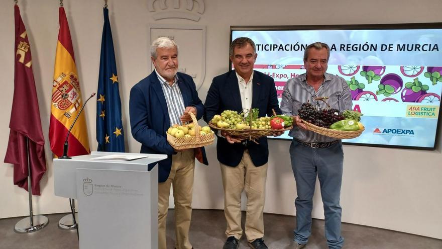 Las frutas y hortalizas de la Región de Murcia vuelven a ‘Asia Fruit Logistica’