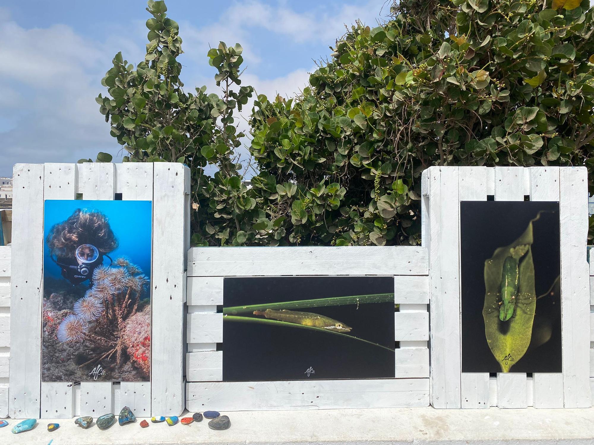 Exposición La Graciosa bajo el mar