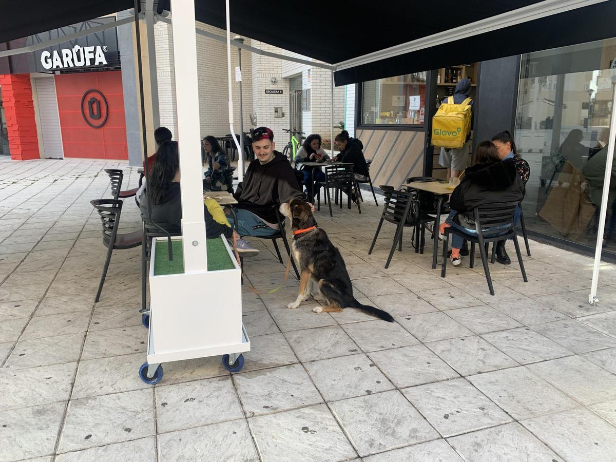 Una pareja y su mascota tomando un aperitivo en The Golden Stack
