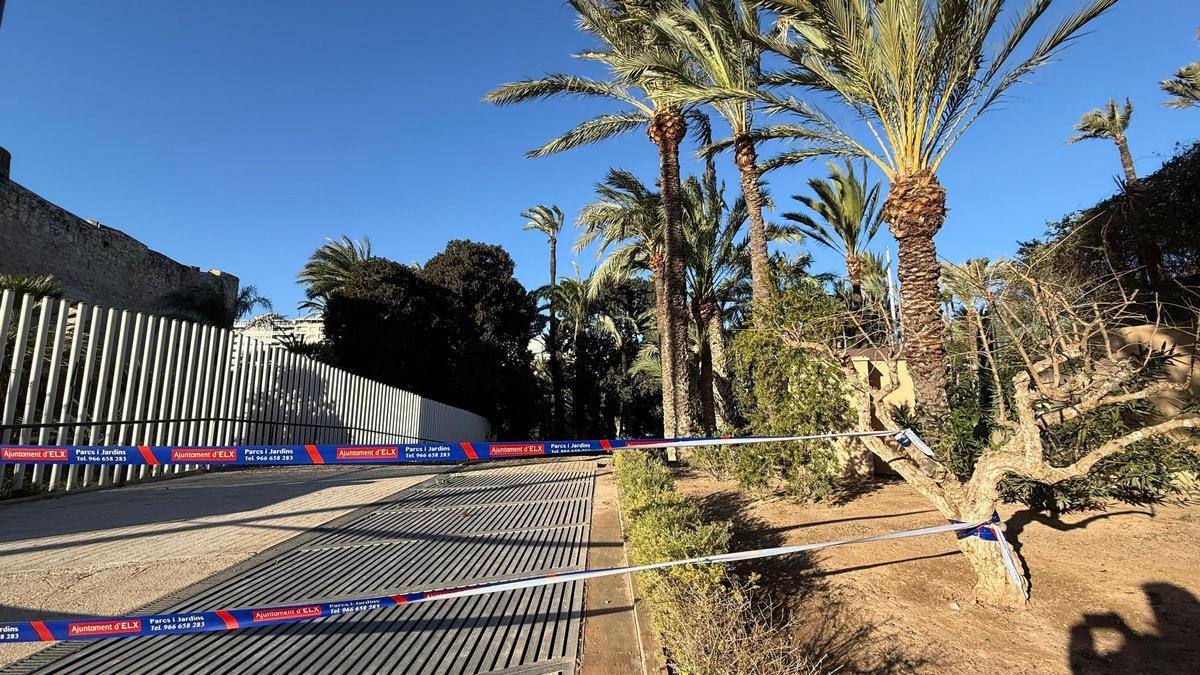 Entrada a l'Hort de Baix de Elche precintada este jueves