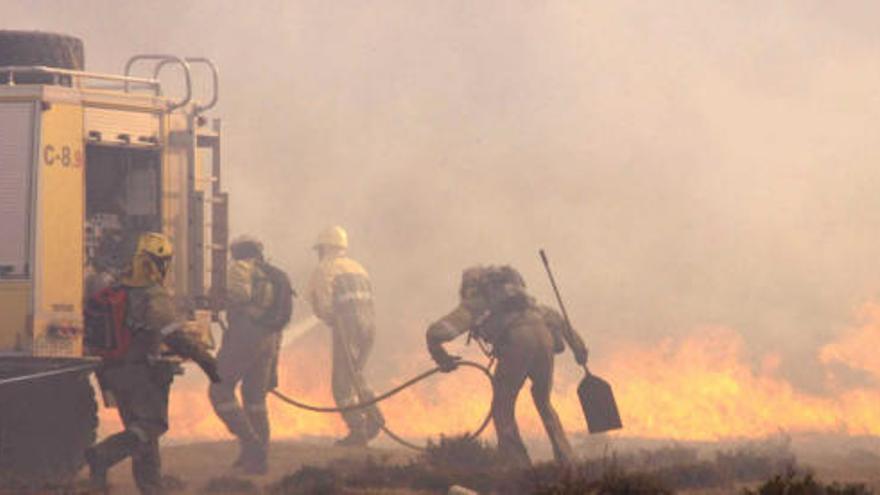 Los incendios de Zamora arrasan ya 1.350 hectáreas de monte