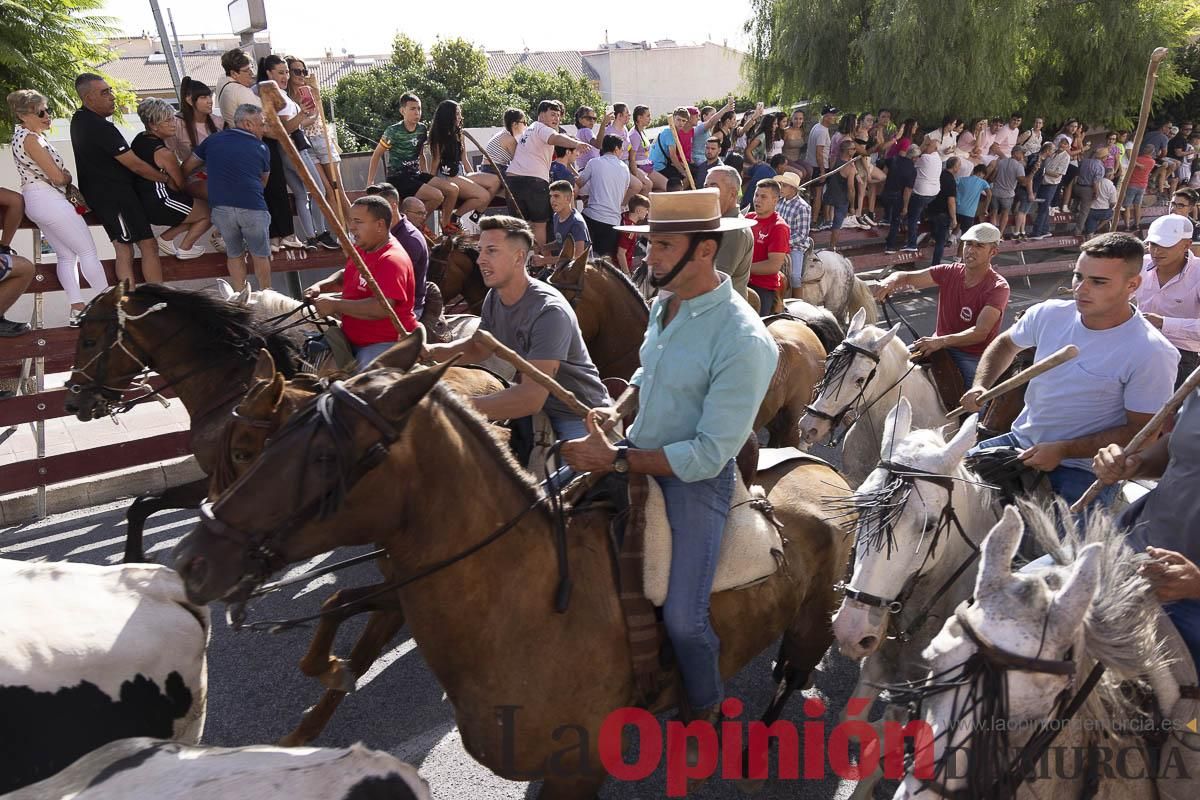 Primer encierro de las Fiestas de Moratalla