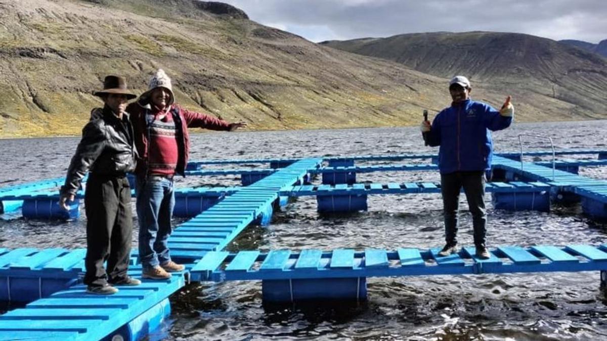 Instalación de una plataformapara cría de truchas en el lagoTiticaca.