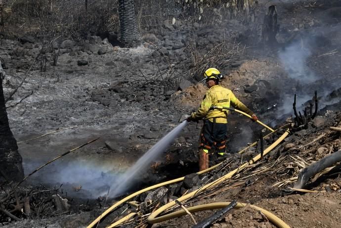 18/03/2019 FATAGA. SAN BARTOLOME DE TIRAJANA.  Incendio en Fataga, en la Finca Rural, Molino de Agua. Fotografa: YAIZA SOCORRO.  | 18/03/2019 | Fotógrafo: Yaiza Socorro