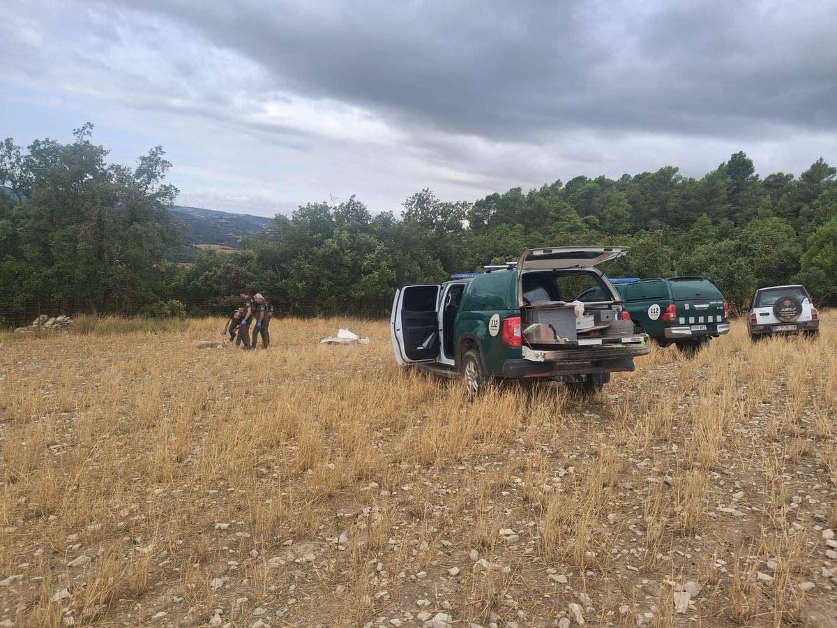 Agents rurals fent la inspecció dels animals morts i de la zona on s'ha produït l'atac