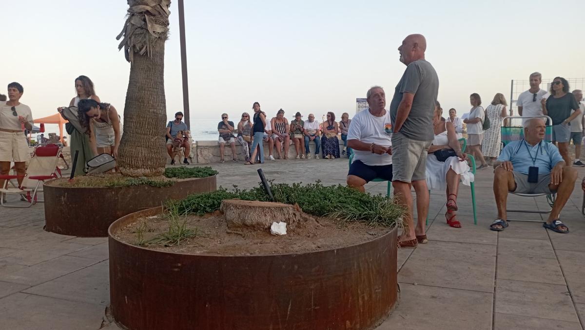 Palmera cortada en uno de los alcorques. Los vecinos han criticado la eliminación de parterres que daban asiento y sombra.