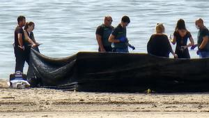 ¿Pot tractar-se d’un nen migrant? La investigació per identificar el cadàver de Roda de Berà