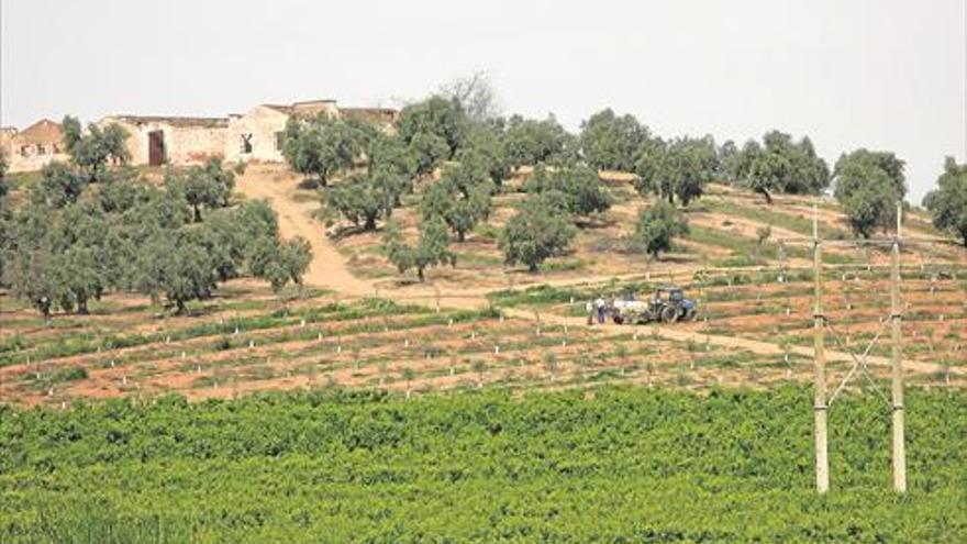 El Plan General Municipal de Badajoz flexibilizará el uso industrial y agropecuario de los terrenos rústicos