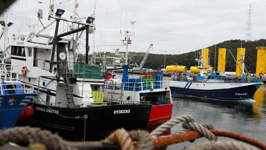 La pesca asturiana tiene cantera