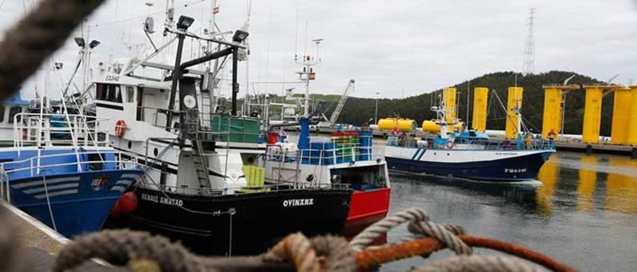 La pesca asturiana tiene cantera