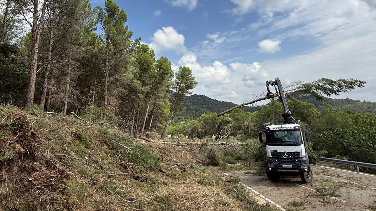 La subvención autonómica llega al Ballestar, pero resulta insuficiente para limpiar los montes y prevenir incendios.