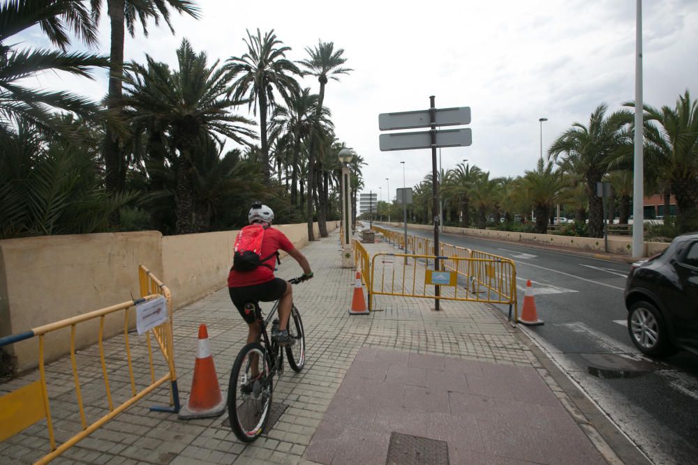 Obras del carril bici en Elche