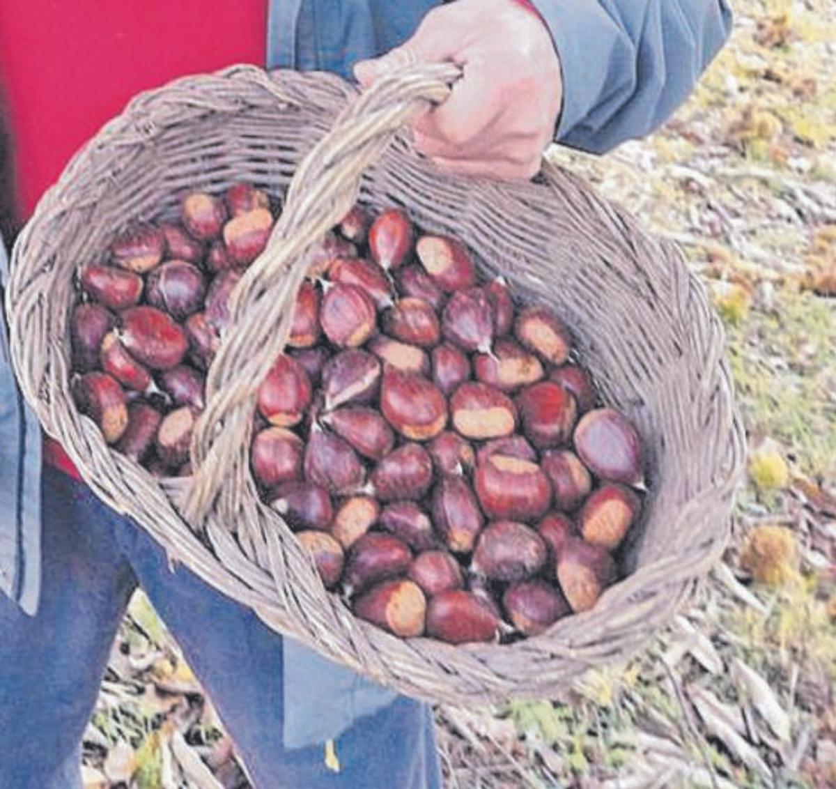 Castañas asadas: los sabores de Todos los Santos gratis en Trabazos y Sejas