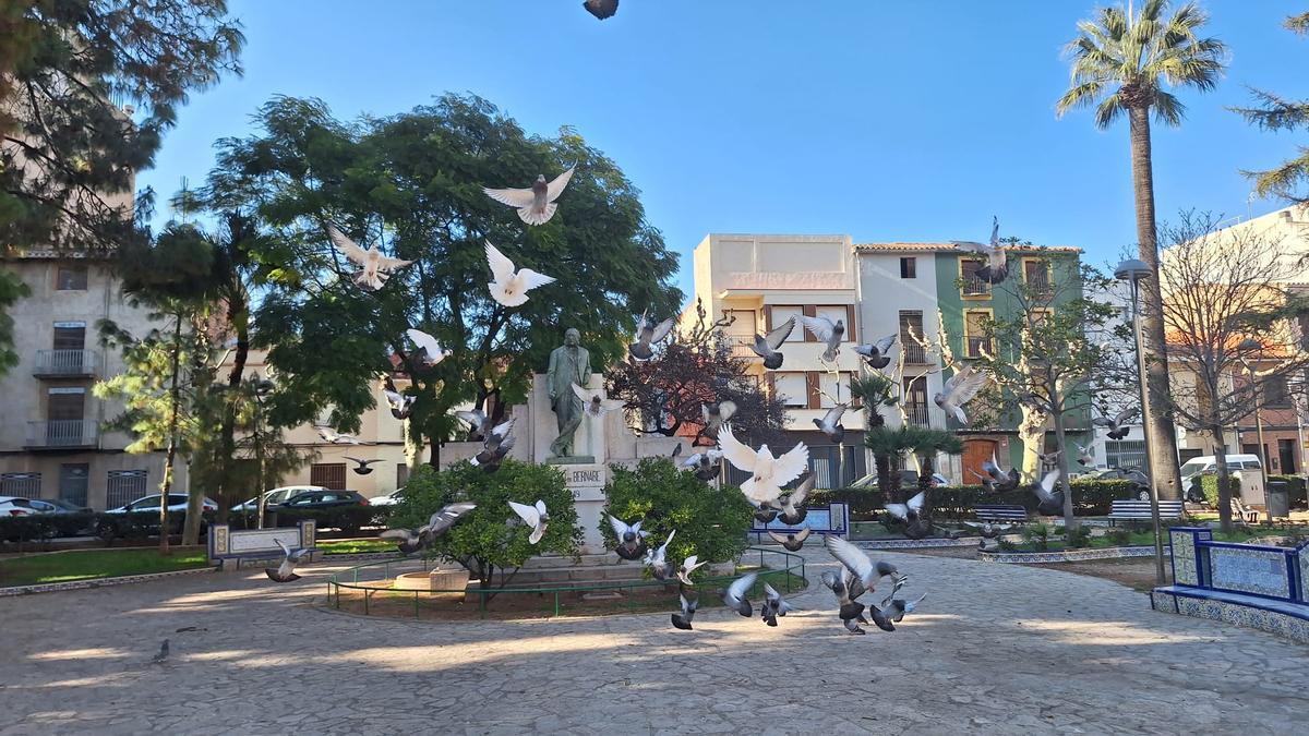Fotogalería I Las palomas y tórtolas 'toman' el emblemático jardín de Sant Pasqual de Vila-real