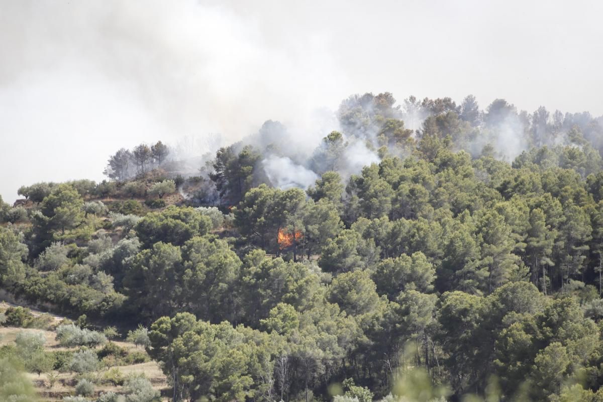 Incendio en la Serra Calderona