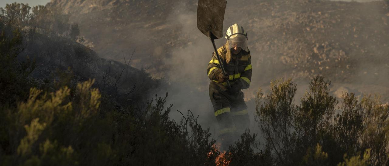 Un brigadista trabaja en la extinción de un incendio en Ourense en febrero de este año