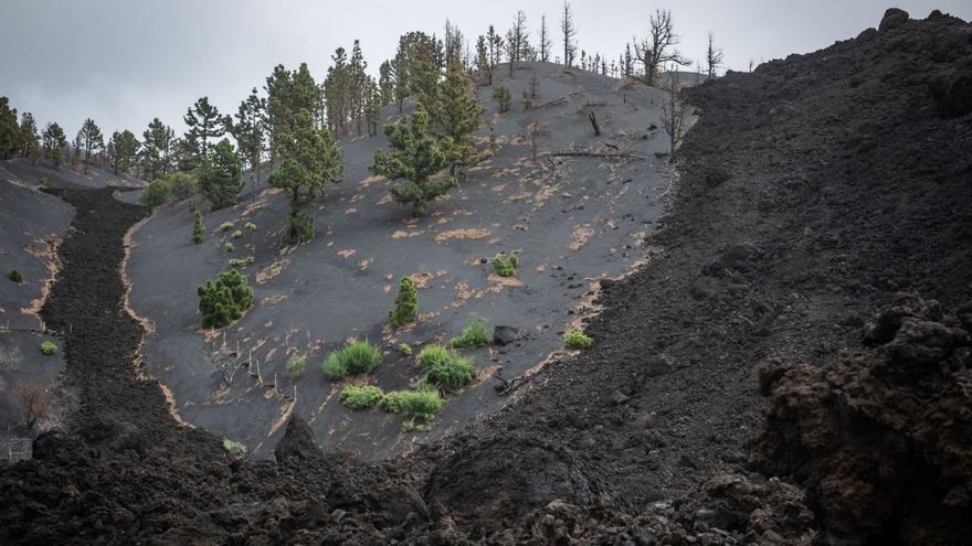 Imagen de archivo de la zona afectada por la erupción del Tajogaite, dos años después.
