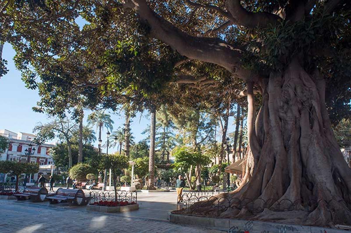 Plaza de España, Águilas