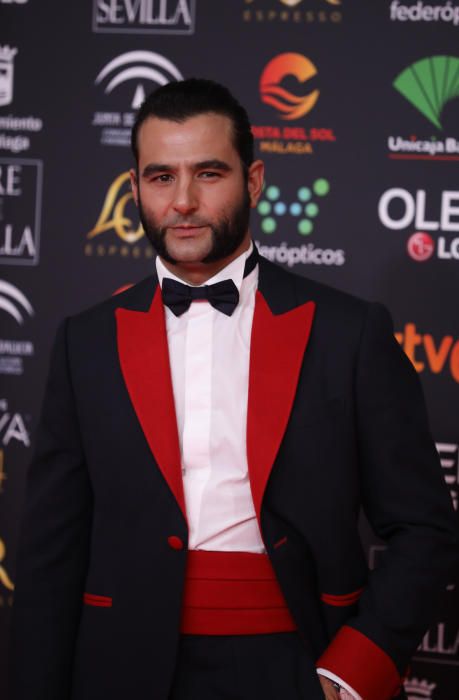 Alfombra roja de los Premios Goya 2020.