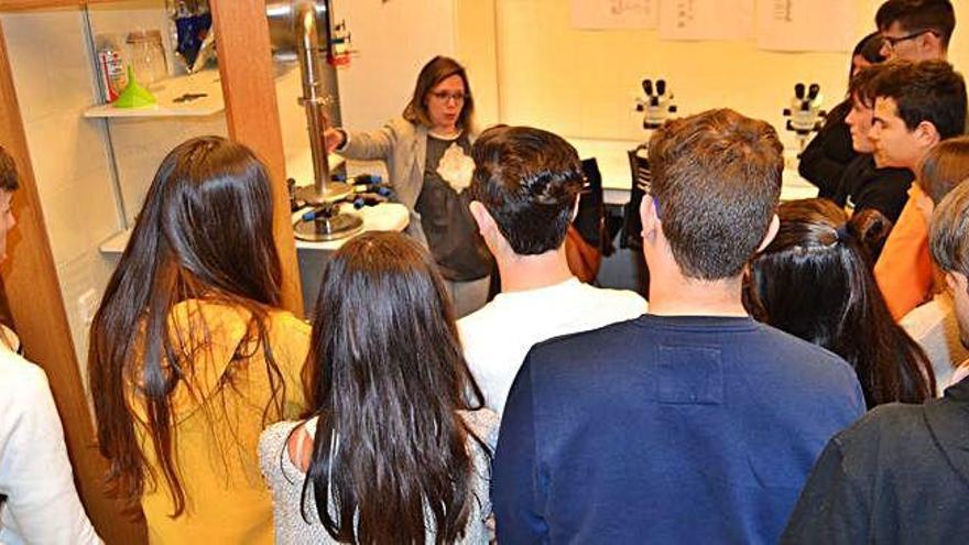 Los alumnos del instituto Valverde de Lucerna durante el desarrollo de la clase de micología.