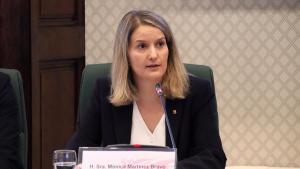 La consellera de Drets Socials i Inclusió, Mònica Martínez Bravo.