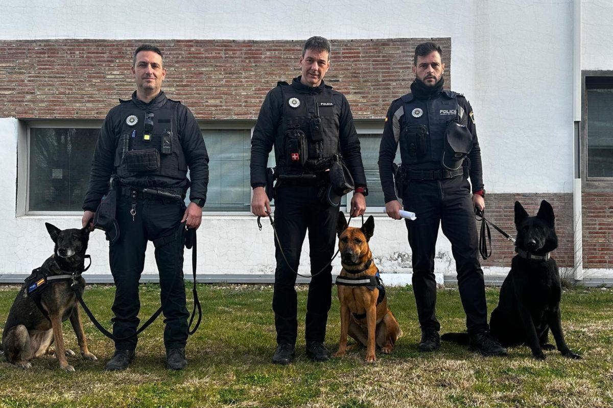 Sía, Mulala y Lía, junto con dos agentes guías y el oficial Peinado forman la Unidad Canina de Alcalá de Henares