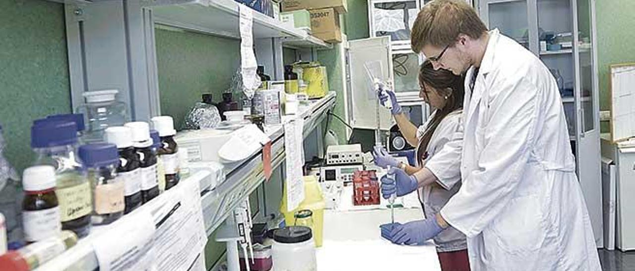 Trabajadores en uno de los laboratorios de investigación ubicados en Son Espases.