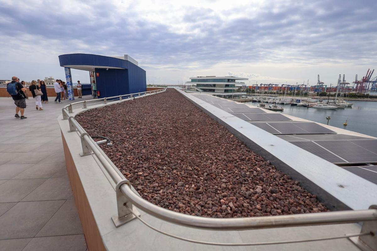 El nuevo edificio Alinghi de Marina de Empresas, en imágenes