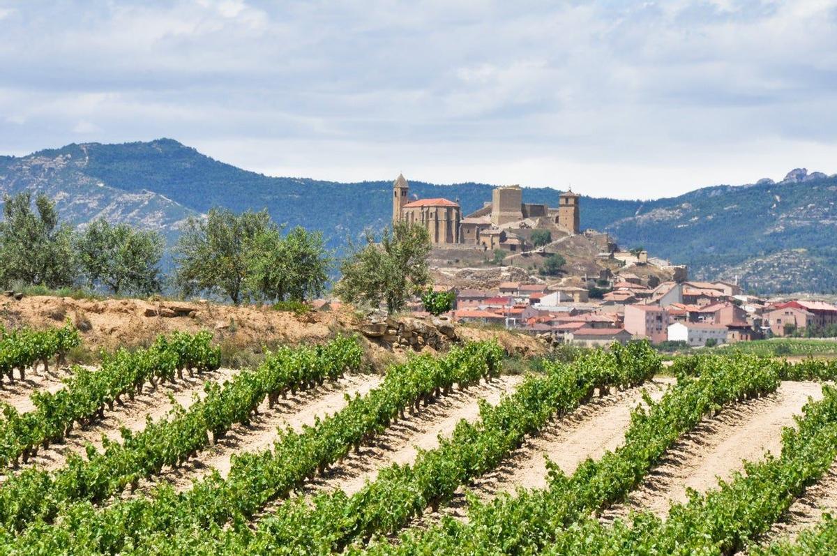 Briones, La Rioja: el medievo entre viñedos