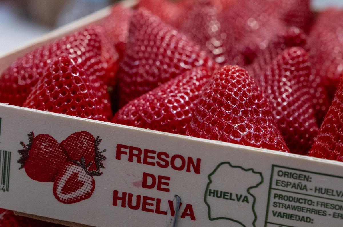 Fresas