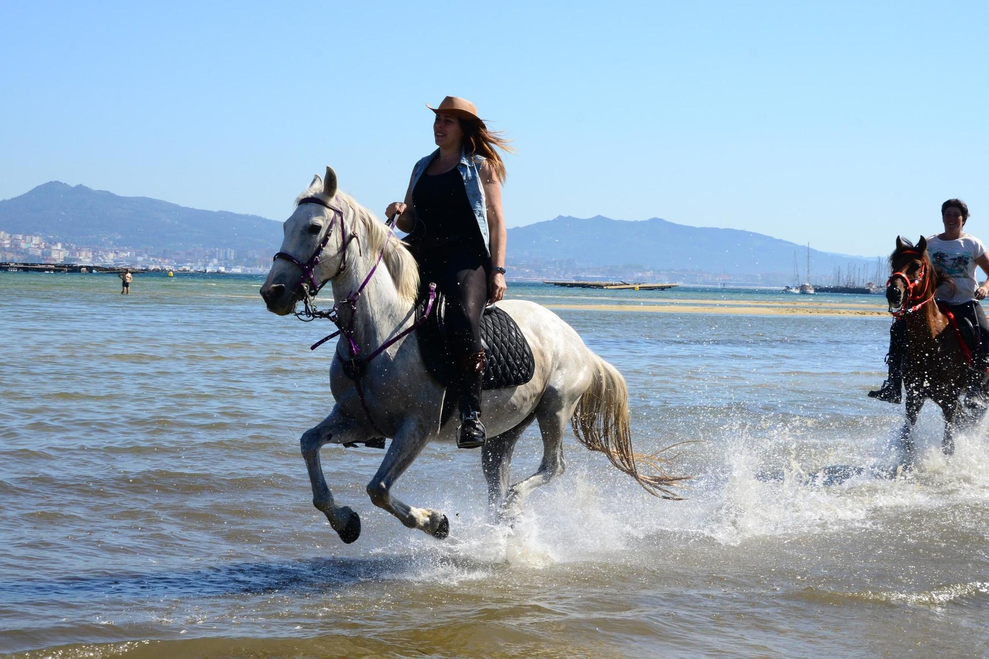 Una espectacular jornada a caballo por Moaña (I)