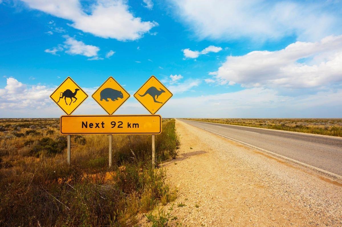Animales Australia
