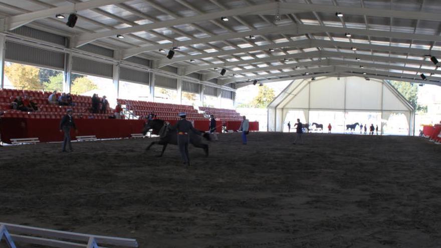 Una cita con lo mejor del mundo del caballo en Lorca