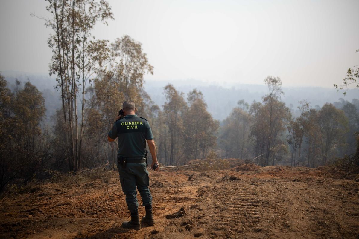 Zona afectada por el incendio forestal declarado en la localidad onubense de Niebla. Zona afectada por el incendio forestal declarado en la localidad onubense de Niebla.