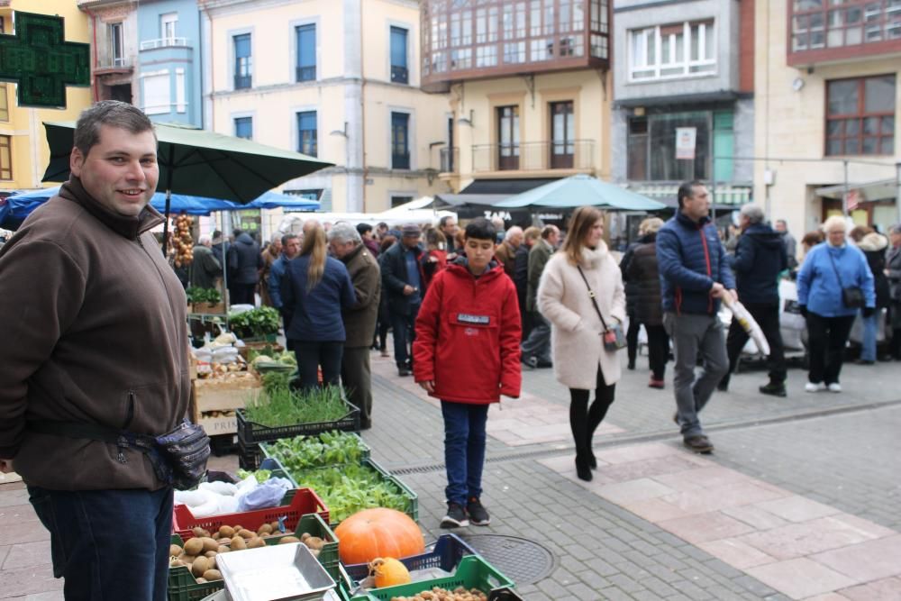 La ola de frío en el mercado de Grado