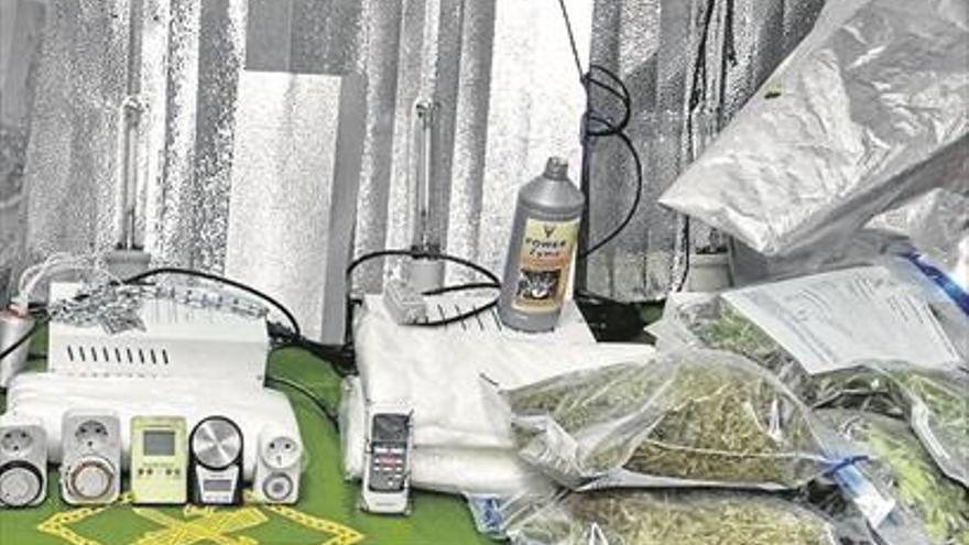 Cuatro detenidos por cultivo y tráfico de drogas en su casa