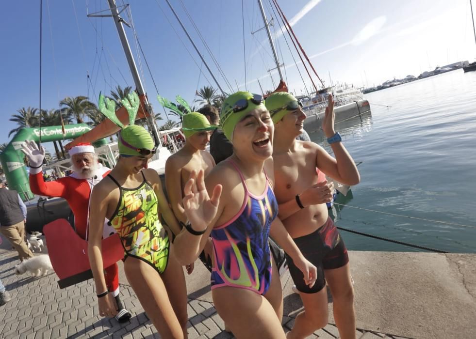 Weihnachtsschwimmen in Palma de Mallorca