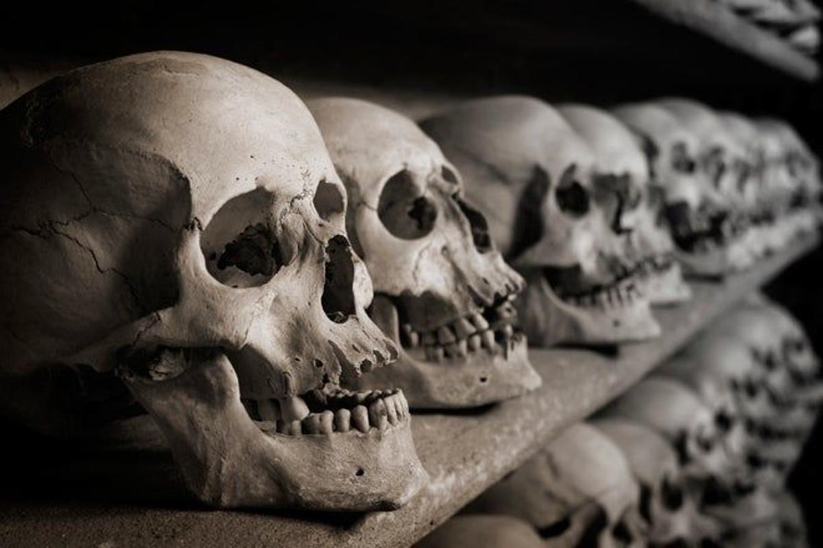 Fragmentos de un cráneo humano