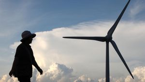 Les previsions climàtiques mostren signes de remissió en les emissions contaminants per primera vegada: «Ara cal accelerar l’acció»