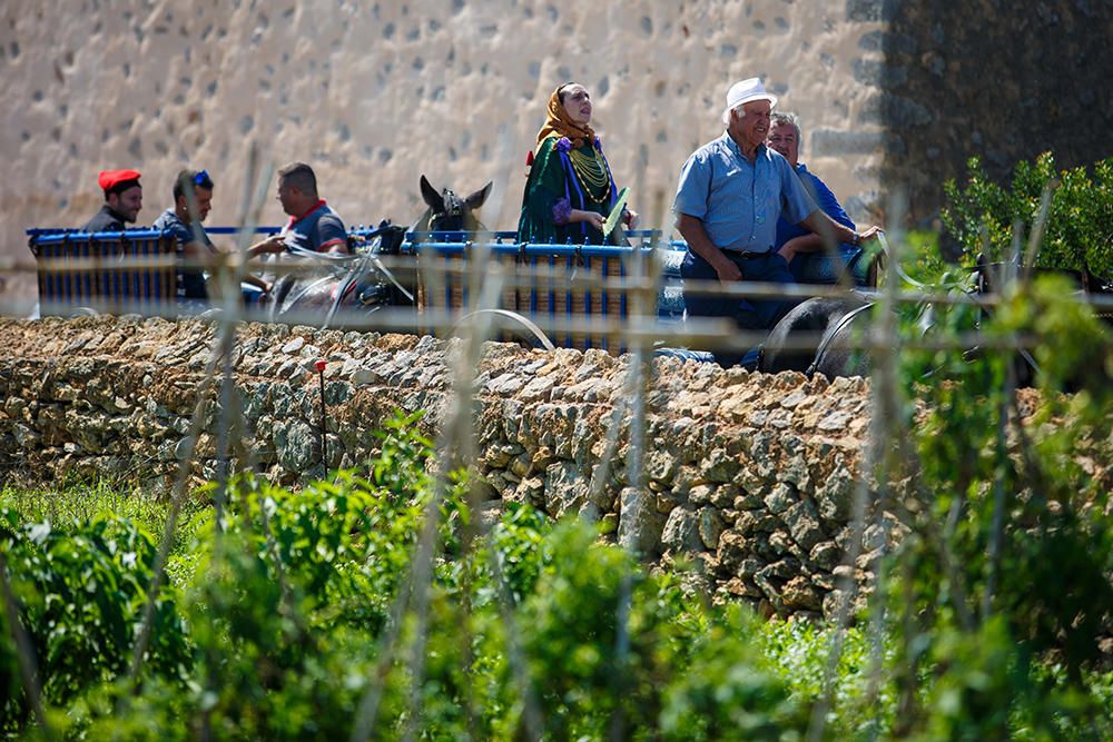 Fiestas de Sant Mateu