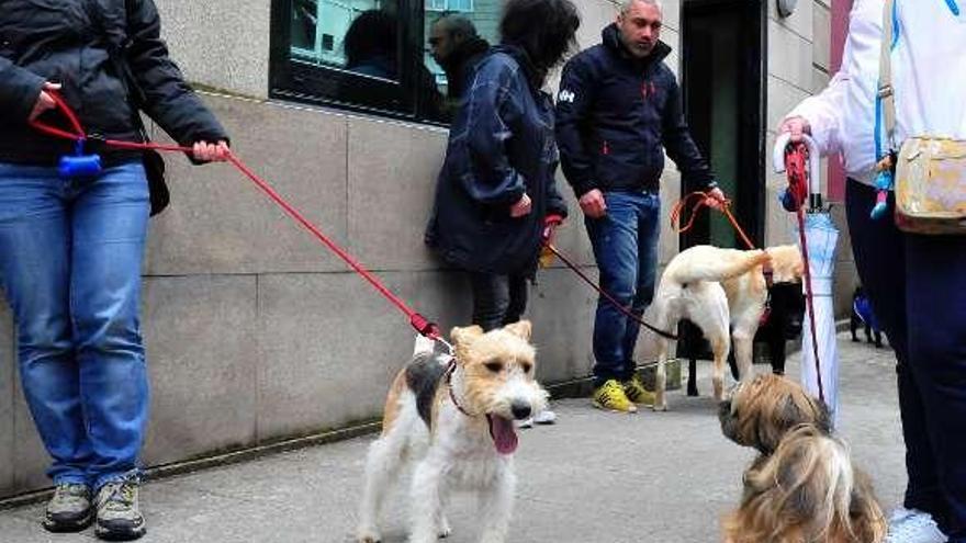 Los dueños de los perros se acercaron ayer al Concello.  // Iñaki Abella